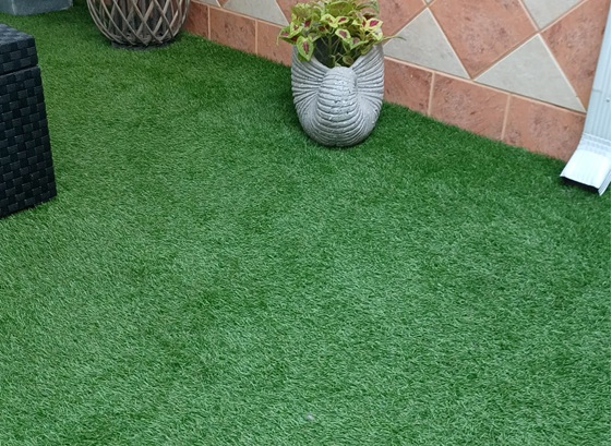 Home 1705609612604